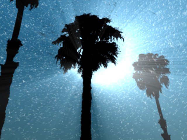 palm trees in the snow