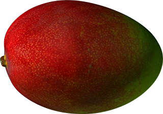 ripe mango cgi