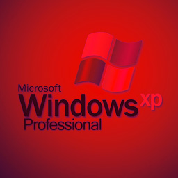 windows xp professional logo red buggy